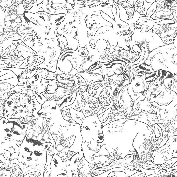York Wallcoverings Woodland Animals Wallpaper